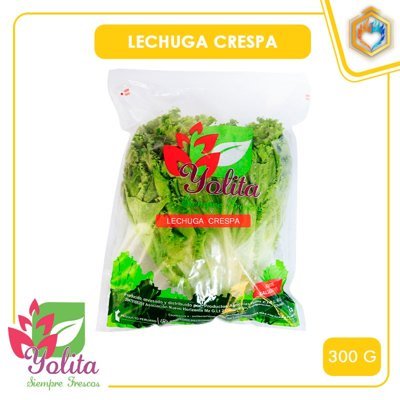 LECHUGA CRESPA 300GR