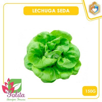 LECHUGA SEDA 150 GR