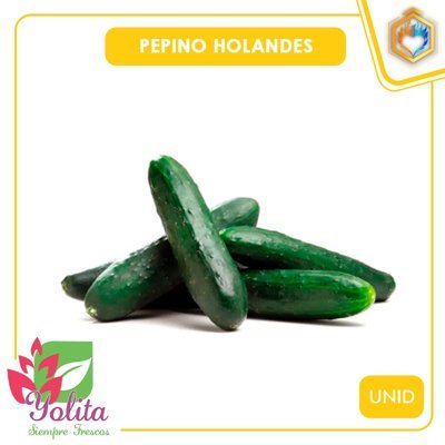 PEPINO HOLANDES