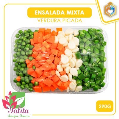 ENSALADA MIXTA X590GR