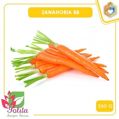 ZANAHORIA BB 260GR