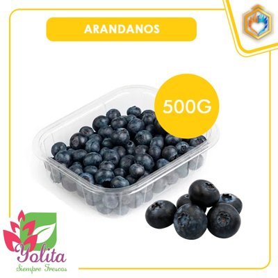 ARANDANOS X500gr