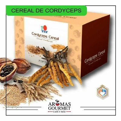 CEREAL DE CORDYCEPS